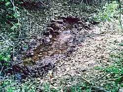 The Blattbach source