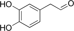 Kekulé, skeletal formula of 3,4-dihydroxyphenylacetaldehyde