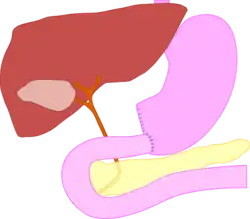 Diagram of the post-operation innards.