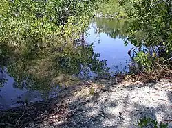 Disturbed man-made channels