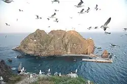A round rocky island, with an empty port. Seagulls block some of the frame.