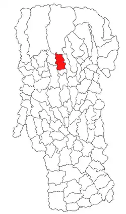 Location in Argeș County