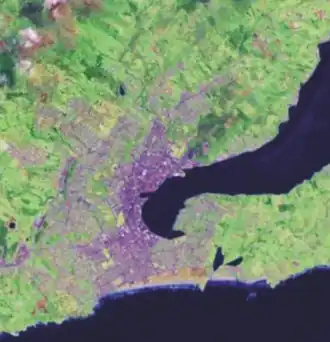 Dunedin City of 1861