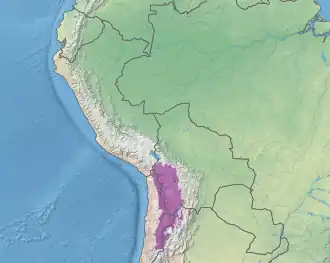 Central Andean dry puna