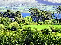 Countryside near Ahakista