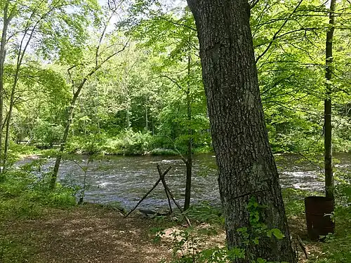 Farmington River Bank fishing spot in Nepaug State Forest.