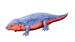 Fedexia striegeli, of the late Carboniferous of Pennsylvania