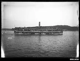 Koree following the yacht races