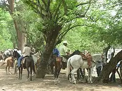 Salvadoran riders in Quezaltepeque, La Libertad