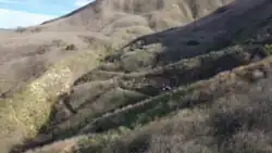 View of grass-covered hillside and trail at the crash site of the 2020 Calabasas helicopter crash. In the center of the photograph, debris from the helicopter crash can be seen, along with investigators working amongst the wreckage.