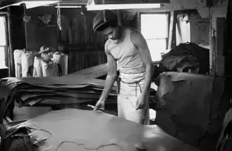 Finish grading the leather. Oct. 1975