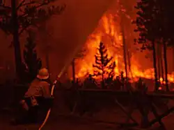 Firefighter sprays water on a fire at Norris in near darkness on Black Saturday
