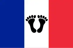 Tricolore flag with two black feet[80]