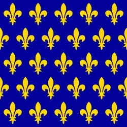 Flag of France under the Capetian dynasty since the twelfth century