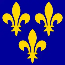 Flag of France under the Capetian dynasty since the fourteenth century