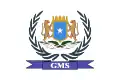 One of flag version of Galmudug (14 August 2006 – 3 February 2009)
