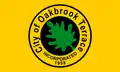 Flag of Oakbrook Terrace