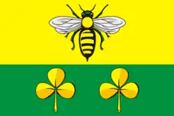 Flag of Sandovsky District