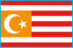 One of the proposed projects of the flag of Uzbekistan by the democratic movement, based on Basmachi movement flag (1991)