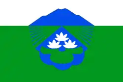 Flag of Vyazemsky District