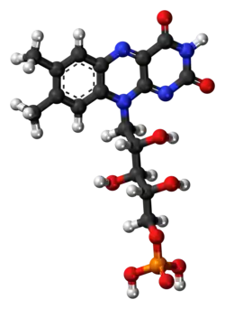Ball-and-stick model of the flavin mononucleotide molecule