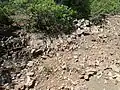 Close view of Flechado Formation at its type section.