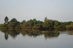 The waters of the Okpara River in Benin