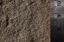 A macro photo of fluvial parent material. The right side of the image has a scale bar showing the size of particles to be smaller than a centimetre. The colour of the soil is generally blueish-grey with spots of orange.