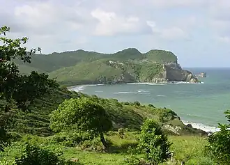A blueish-green bay with a curved beach on the left. A tree-covered hills and cliffs are in the distance, and grass and trees are in the forefront.