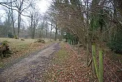 Coombe Wood and The Lythe