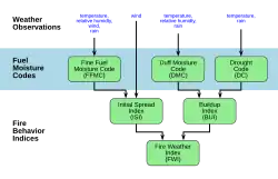 Fire Weather Index components