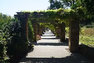 Republic of Texas Rose Garden
