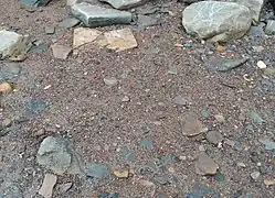 Sandy and silty material on Fossil Beach, Sedbury, Gloucestershire, containing tiny fossil fragments.