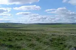 Foxtor Mires, Devon, UK