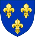 Royal arms of France, three gold fleurs-de-lis on a blue background