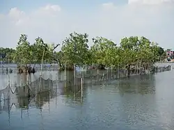 Tagalag fish ponds