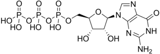 Skeletal formula of guanosine triphosphate