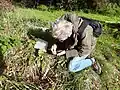 Alick Henrici collecting fungi on a fungus foray
