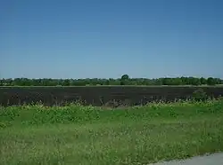 Farmland in far western German Township