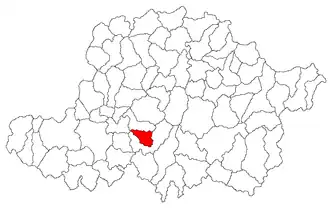 Location in Arad County