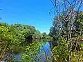 The pond at Jack Ferguson Reserve