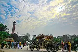 Traditional horse-drawn carriage