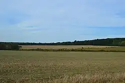 Farmland near the Greenville Municipal Airport
