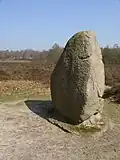 A glacial erratic as boundary stone