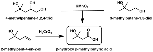Graphic of the first synthetic routes to β-hydroxy β-methylbutyric acid