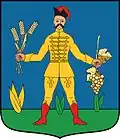 Coat of arms of Babarc