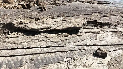 Ripple marks 35°00′02.0″N 127°55′09.6″E / 35.000556; 127.919333