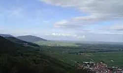 The Haardt, the boundary with the wine growing region