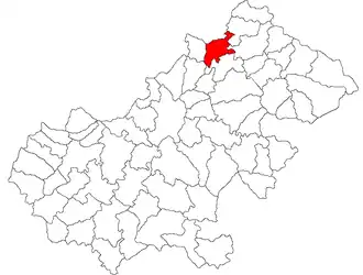 Location in Satu Mare County