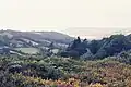 View from Hardown Hill looking west towards the Dorset coast